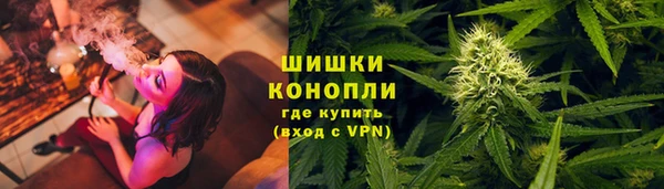 ешки Новозыбков