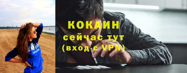 ешки Новозыбков