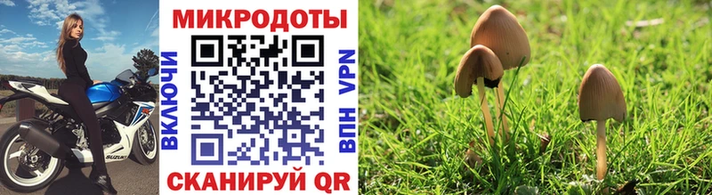 Галлюциногенные грибы MAGIC MUSHROOMS  Кулебаки 