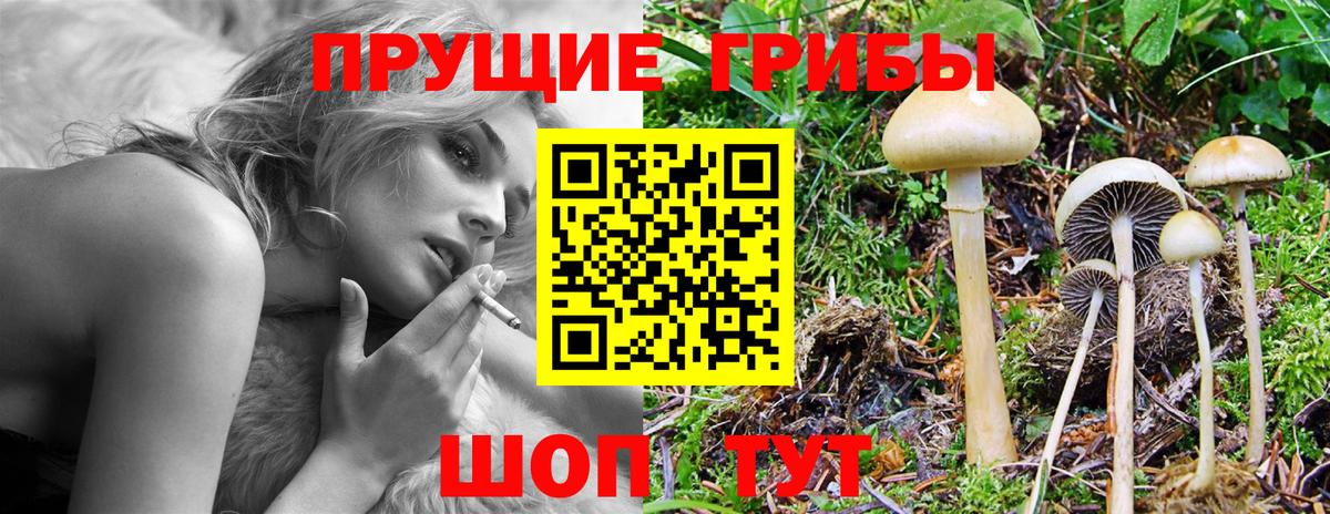 Галлюциногенные грибы Cubensis Кулебаки