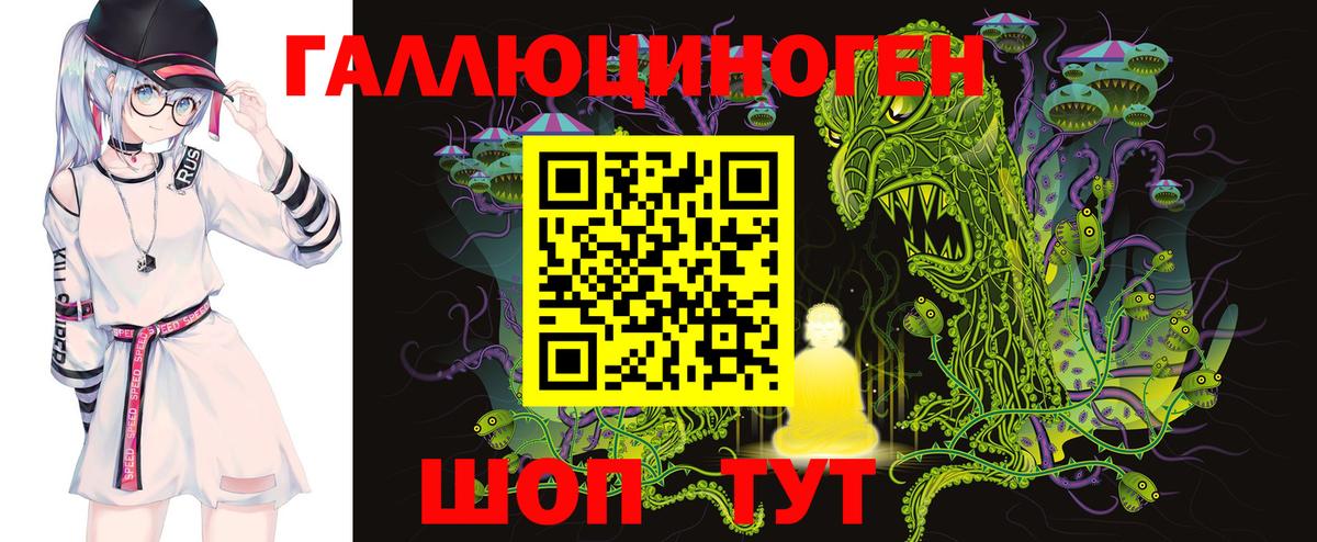 Псилоцибиновые грибы Cubensis Кулебаки