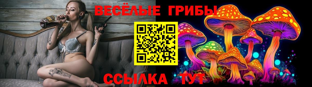 Псилоцибиновые грибы мухоморы  Псилоцибиновые грибы Psilocybe  Кулебаки 